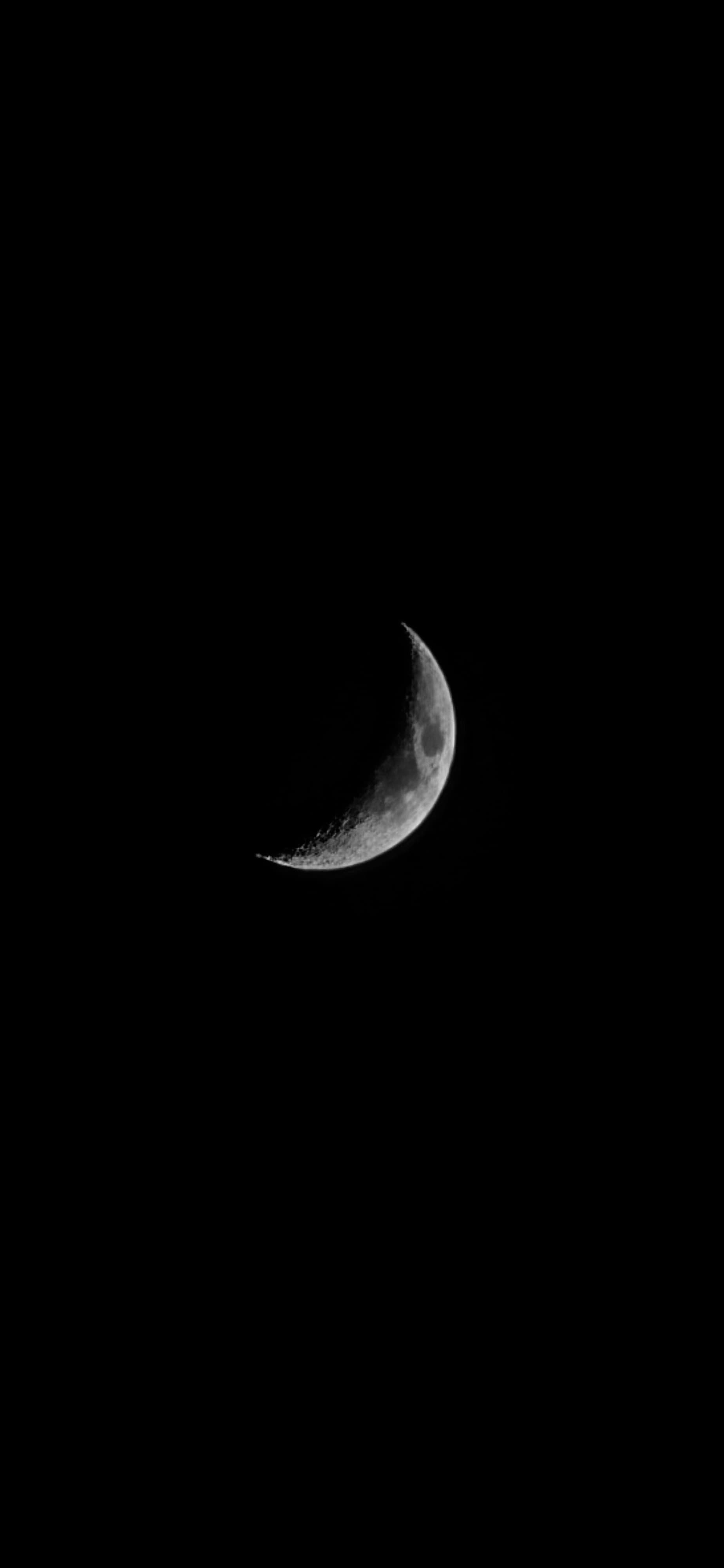 Sharp black and white image of a crescent moon with detailed surface texture