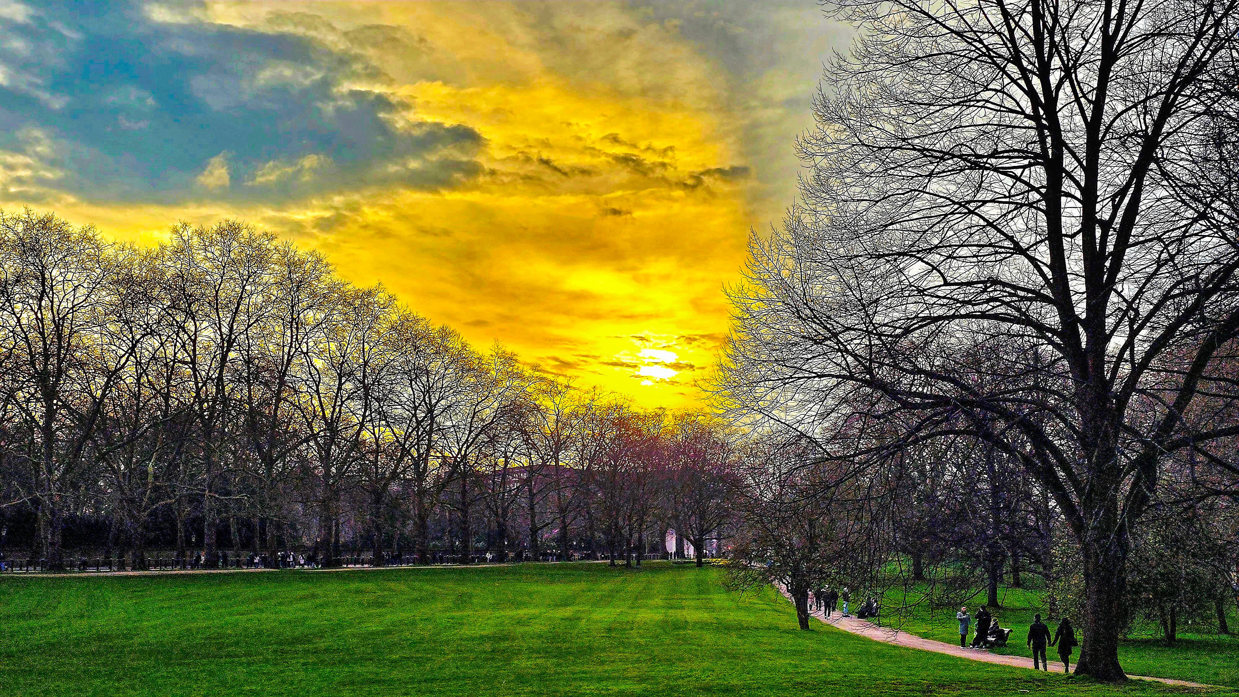 Golden sunset over Green Park, London