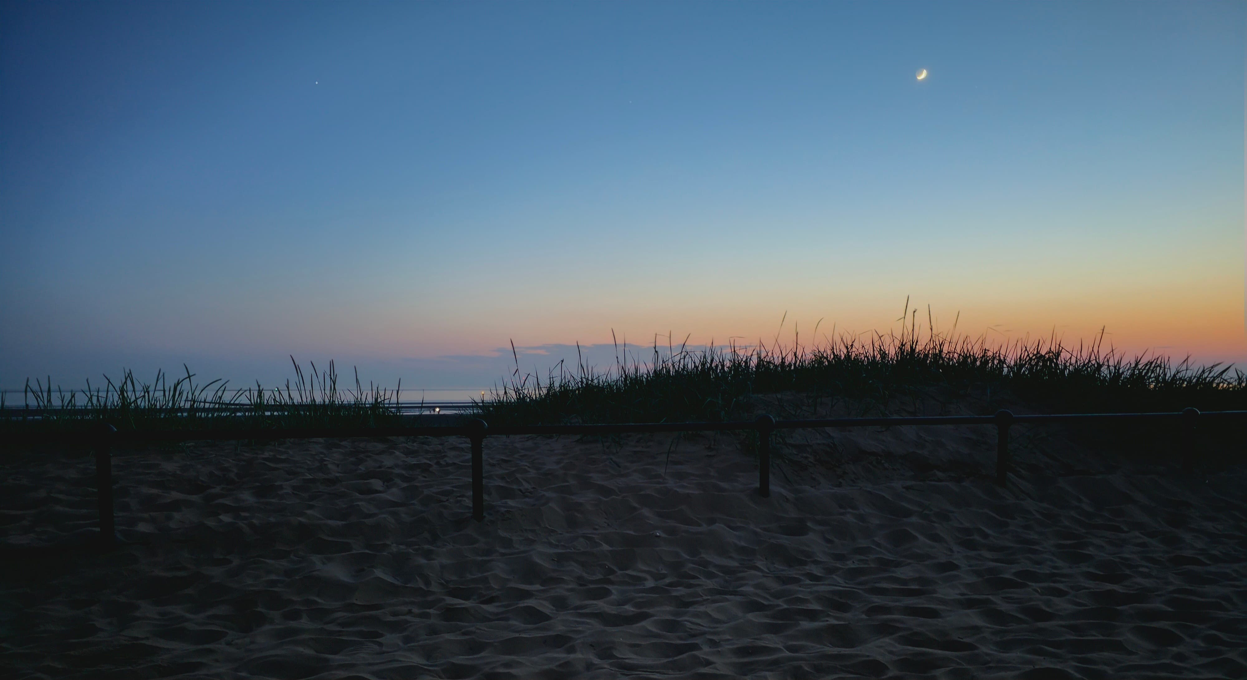Dune grass and crescent moon over a sandy beach at twilight